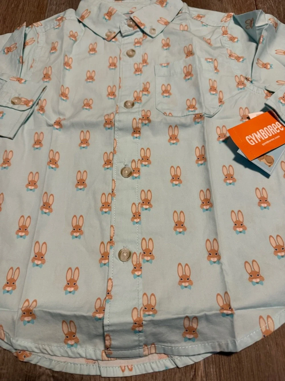 Gymboree Light Blue Button-Down Shirt with Orange Bunny Print